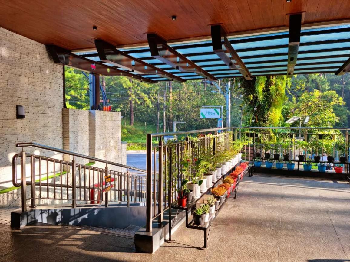 Alvea Hotel And Residences Baguio City Ngoại thất bức ảnh